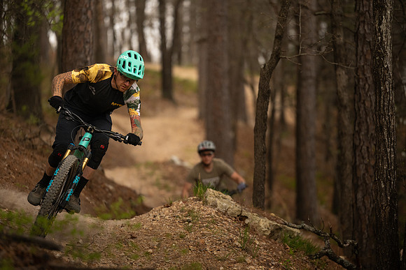 ARK - (192)
