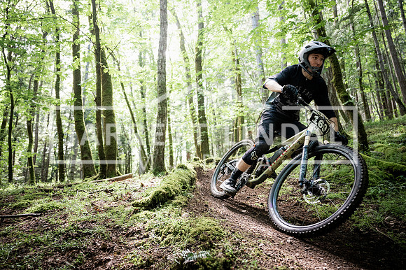 Hornby Enduro - (348)