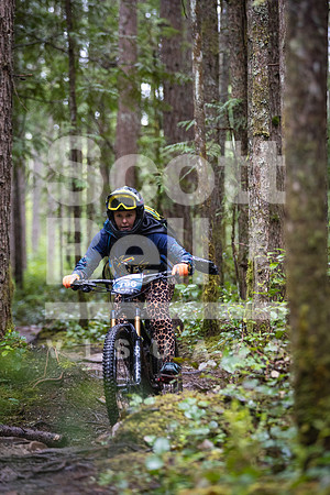 CR6_7340