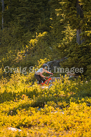 C.ScottImages-70