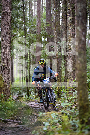 CR6_7337