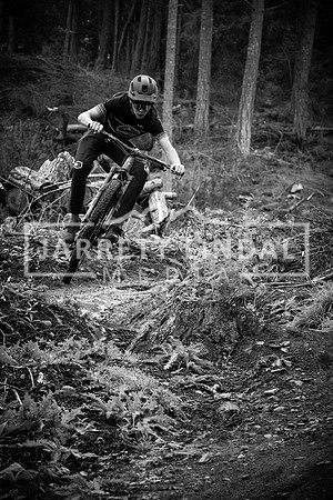 DSC_2257 - B&W