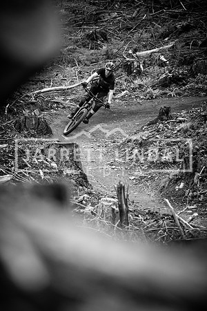 DSC_2468 - B&W