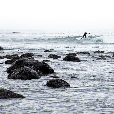 The Surfer