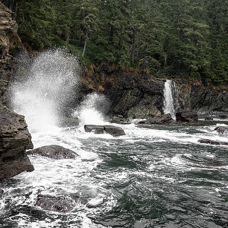 The Seaspray