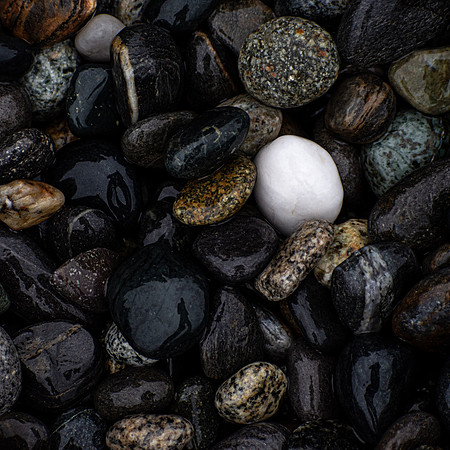 The Rock