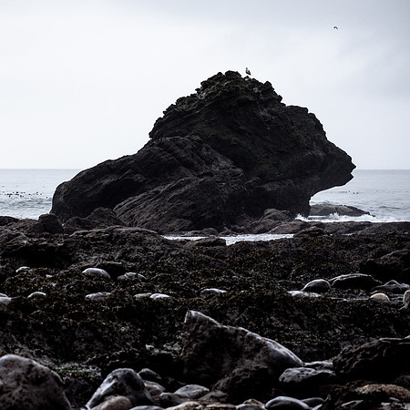 The Beach