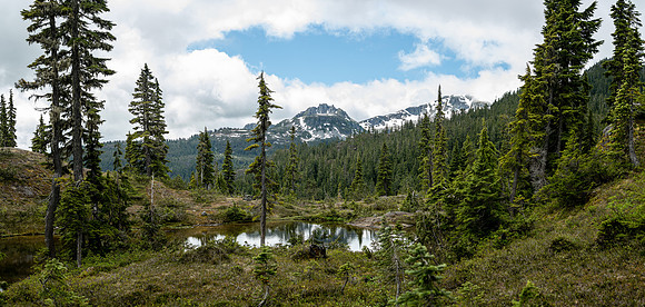 The Alpine