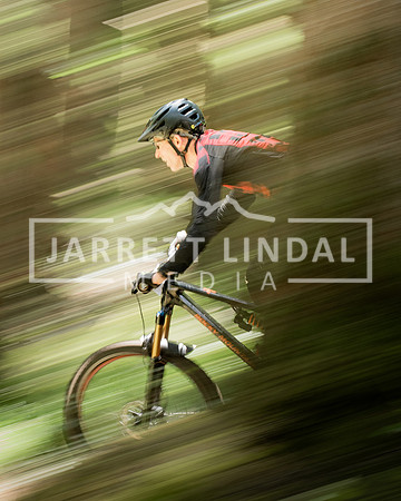 Hornby Enduro - (89)