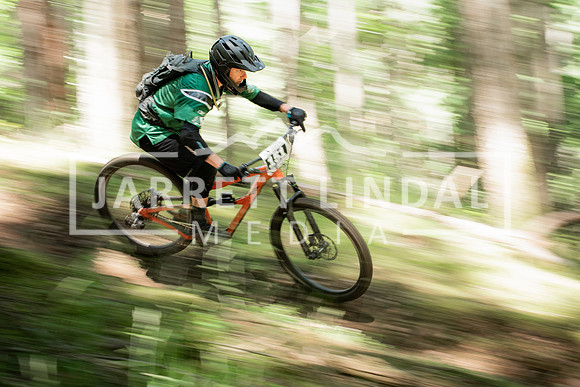 Hornby Enduro - (96)