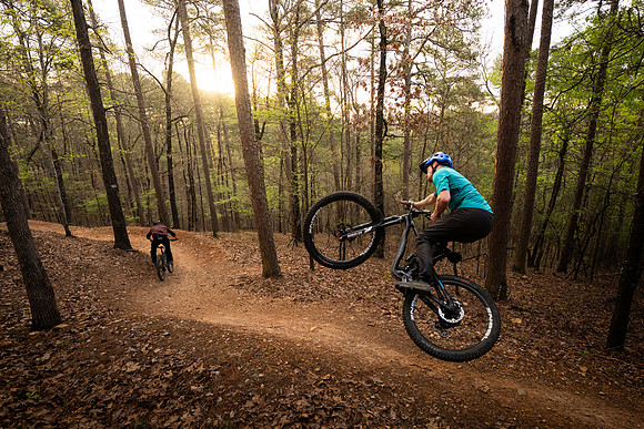 ARK - (131)